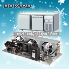 condensador horizontal do compressor da refrigeração para a unidade refrigerando da sala fria